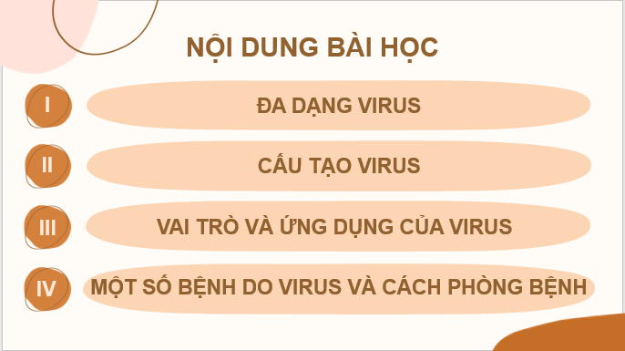 Giáo án điện tử KNTN 6 Kết nối tri thức Bài 29: Virus | PPT Khoa học tự nhiên 6