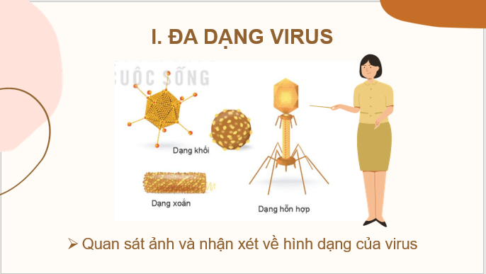 Giáo án điện tử KNTN 6 Kết nối tri thức Bài 29: Virus | PPT Khoa học tự nhiên 6