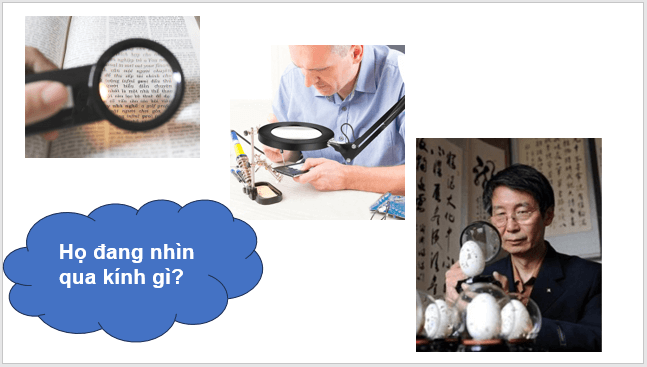 Giáo án điện tử KNTN 6 Kết nối tri thức Bài 3: Sử dụng kính lúp | PPT Khoa học tự nhiên 6