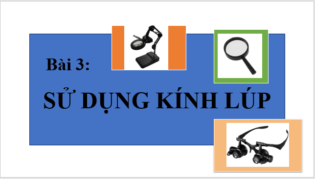 Giáo án điện tử KNTN 6 Kết nối tri thức Bài 3: Sử dụng kính lúp | PPT Khoa học tự nhiên 6