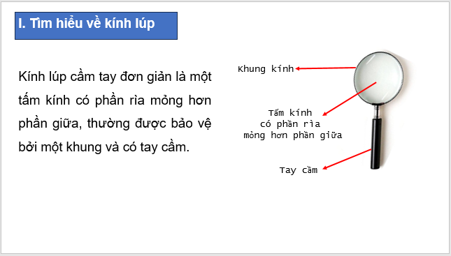 Giáo án điện tử KNTN 6 Kết nối tri thức Bài 3: Sử dụng kính lúp | PPT Khoa học tự nhiên 6