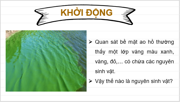 Giáo án điện tử KNTN 6 Kết nối tri thức Bài 30: Nguyên sinh vật | PPT Khoa học tự nhiên 6