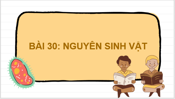 Giáo án điện tử KNTN 6 Kết nối tri thức Bài 30: Nguyên sinh vật | PPT Khoa học tự nhiên 6