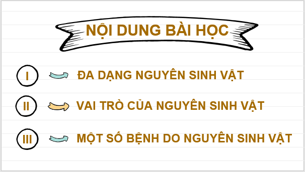 Giáo án điện tử KNTN 6 Kết nối tri thức Bài 30: Nguyên sinh vật | PPT Khoa học tự nhiên 6