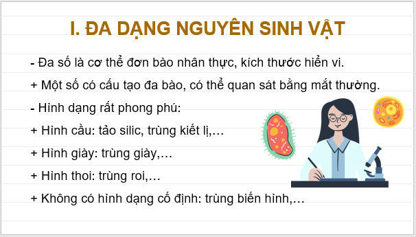 Giáo án điện tử KNTN 6 Kết nối tri thức Bài 30: Nguyên sinh vật | PPT Khoa học tự nhiên 6