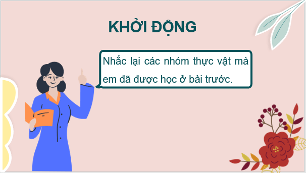 Giáo án điện tử KNTN 6 Chân trời sáng tạo Bài 30: Thực hành phân loại thực vật | PPT Khoa học tự nhiên 6