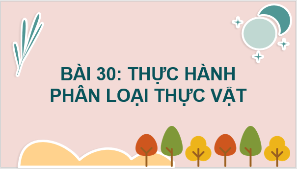 Giáo án điện tử KNTN 6 Chân trời sáng tạo Bài 30: Thực hành phân loại thực vật | PPT Khoa học tự nhiên 6