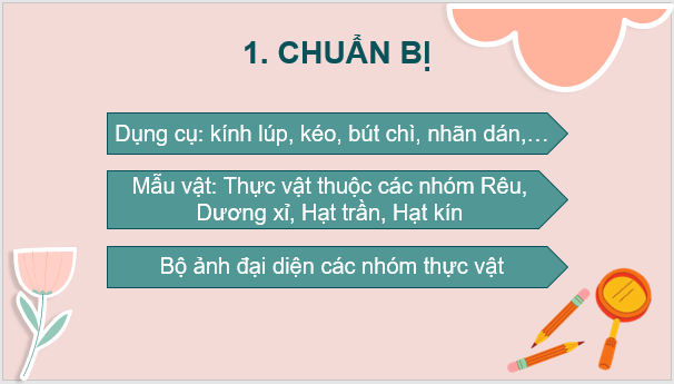 Giáo án điện tử KNTN 6 Chân trời sáng tạo Bài 30: Thực hành phân loại thực vật | PPT Khoa học tự nhiên 6