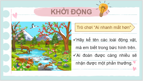 Giáo án điện tử KNTN 6 Chân trời sáng tạo Bài 31: Động vật | PPT Khoa học tự nhiên 6