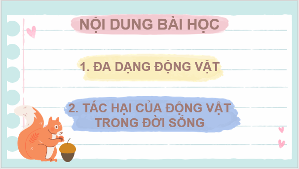 Giáo án điện tử KNTN 6 Chân trời sáng tạo Bài 31: Động vật | PPT Khoa học tự nhiên 6