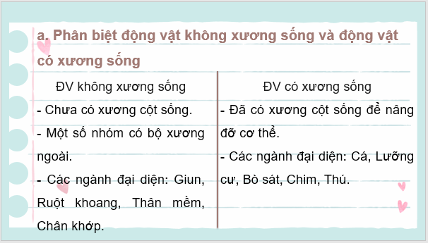 Giáo án điện tử KNTN 6 Chân trời sáng tạo Bài 31: Động vật | PPT Khoa học tự nhiên 6