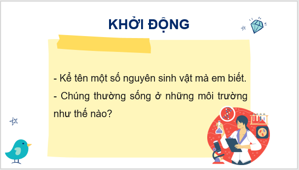 Giáo án điện tử KNTN 6 Kết nối tri thức Bài 31: Thực hành: Quan sát nguyên sinh vật | PPT Khoa học tự nhiên 6