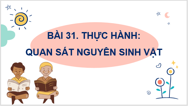 Giáo án điện tử KNTN 6 Kết nối tri thức Bài 31: Thực hành: Quan sát nguyên sinh vật | PPT Khoa học tự nhiên 6