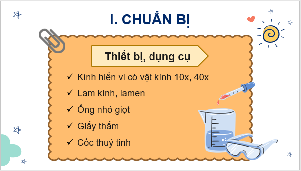 Giáo án điện tử KNTN 6 Kết nối tri thức Bài 31: Thực hành: Quan sát nguyên sinh vật | PPT Khoa học tự nhiên 6