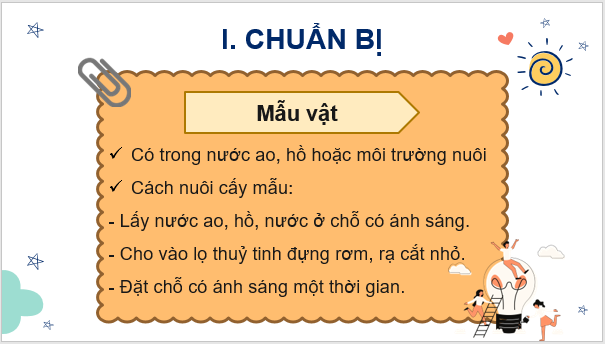 Giáo án điện tử KNTN 6 Kết nối tri thức Bài 31: Thực hành: Quan sát nguyên sinh vật | PPT Khoa học tự nhiên 6