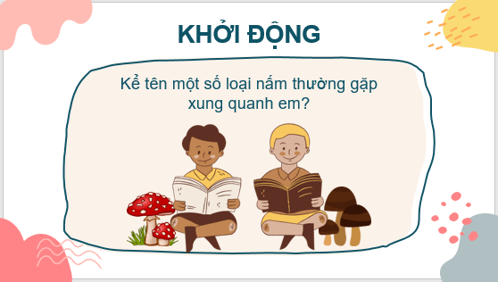 Giáo án điện tử KNTN 6 Kết nối tri thức Bài 32: Nấm | PPT Khoa học tự nhiên 6