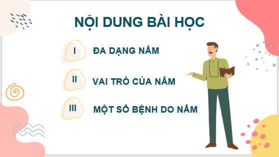 Giáo án điện tử KNTN 6 Kết nối tri thức Bài 32: Nấm | PPT Khoa học tự nhiên 6