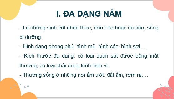 Giáo án điện tử KNTN 6 Kết nối tri thức Bài 32: Nấm | PPT Khoa học tự nhiên 6