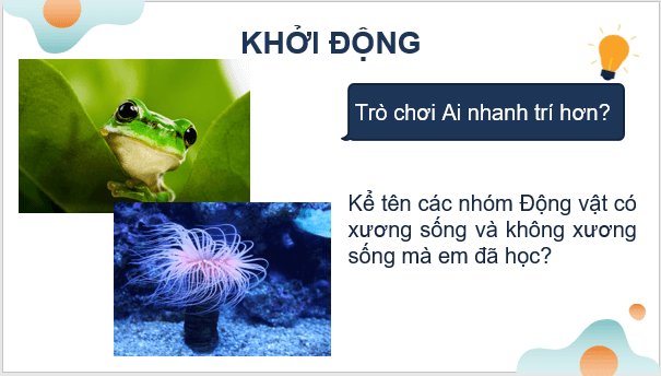 Giáo án điện tử KNTN 6 Chân trời sáng tạo Bài 32: Thực hành quan sát và phân loại thực vật ngoài thiên nhiên | PPT Khoa học tự nhiên 6