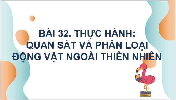 Giáo án điện tử KNTN 6 Chân trời sáng tạo Bài 32: Thực hành quan sát và phân loại thực vật ngoài thiên nhiên | PPT Khoa học tự nhiên 6