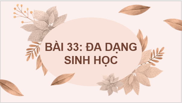 Giáo án điện tử KNTN 6 Chân trời sáng tạo Bài 33: Đa dạng sinh học | PPT Khoa học tự nhiên 6