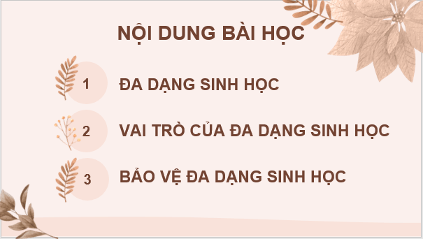 Giáo án điện tử KNTN 6 Chân trời sáng tạo Bài 33: Đa dạng sinh học | PPT Khoa học tự nhiên 6