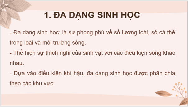 Giáo án điện tử KNTN 6 Chân trời sáng tạo Bài 33: Đa dạng sinh học | PPT Khoa học tự nhiên 6