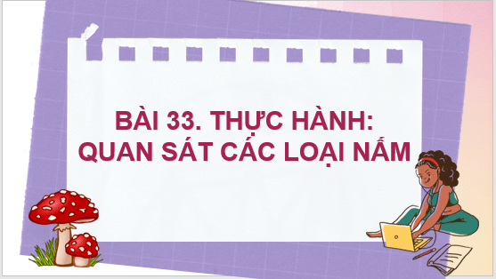 Giáo án điện tử KNTN 6 Kết nối tri thức Bài 33: Thực hành: Quan sát các loại nấm | PPT Khoa học tự nhiên 6