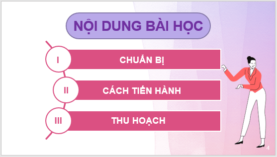 Giáo án điện tử KNTN 6 Kết nối tri thức Bài 33: Thực hành: Quan sát các loại nấm | PPT Khoa học tự nhiên 6