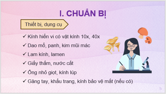 Giáo án điện tử KNTN 6 Kết nối tri thức Bài 33: Thực hành: Quan sát các loại nấm | PPT Khoa học tự nhiên 6