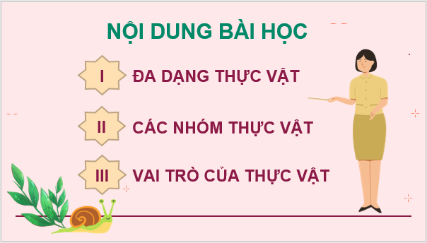 Giáo án điện tử KNTN 6 Kết nối tri thức Bài 34: Thực vật | PPT Khoa học tự nhiên 6