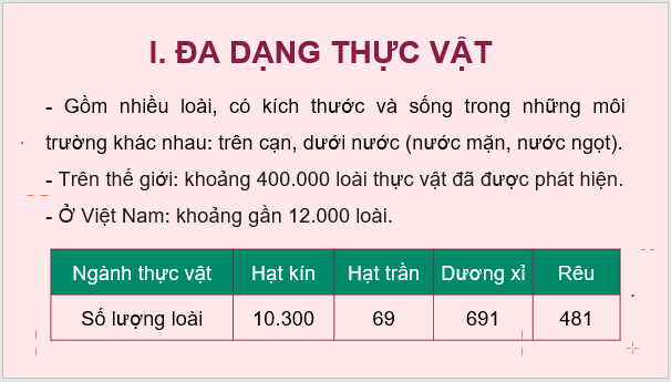 Giáo án điện tử KNTN 6 Kết nối tri thức Bài 34: Thực vật | PPT Khoa học tự nhiên 6