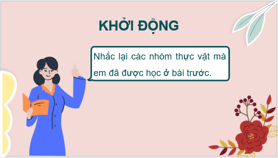 Giáo án điện tử KNTN 6 Kết nối tri thức Bài 35: Thực hành: Quan sát và phân biệt một số nhóm thực vật | PPT Khoa học tự nhiên 6