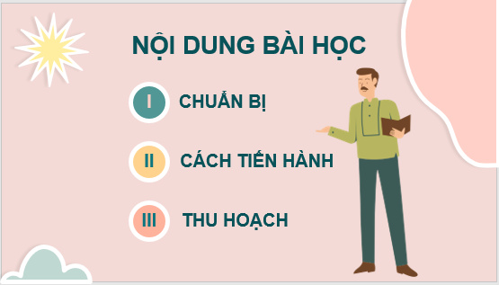 Giáo án điện tử KNTN 6 Kết nối tri thức Bài 35: Thực hành: Quan sát và phân biệt một số nhóm thực vật | PPT Khoa học tự nhiên 6