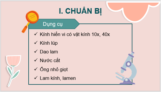 Giáo án điện tử KNTN 6 Kết nối tri thức Bài 35: Thực hành: Quan sát và phân biệt một số nhóm thực vật | PPT Khoa học tự nhiên 6