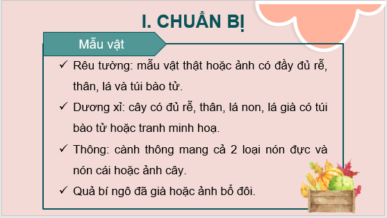 Giáo án điện tử KNTN 6 Kết nối tri thức Bài 35: Thực hành: Quan sát và phân biệt một số nhóm thực vật | PPT Khoa học tự nhiên 6