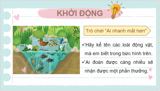 Giáo án điện tử KNTN 6 Kết nối tri thức Bài 36: Động vật | PPT Khoa học tự nhiên 6