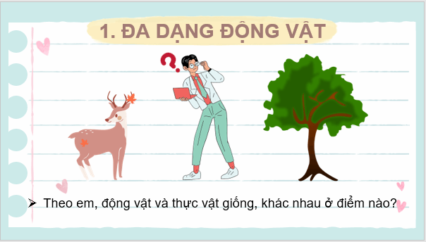 Giáo án điện tử KNTN 6 Kết nối tri thức Bài 36: Động vật | PPT Khoa học tự nhiên 6