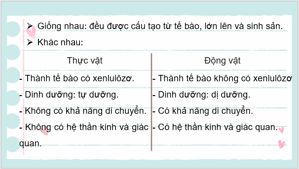 Giáo án điện tử KNTN 6 Kết nối tri thức Bài 36: Động vật | PPT Khoa học tự nhiên 6