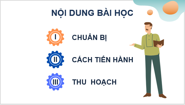 Giáo án điện tử KNTN 6 Kết nối tri thức Bài 37: Thực hành: Quan sát và nhận biết một số nhóm động vật ngoài thiên nhiên | PPT Khoa học tự nhiên 6