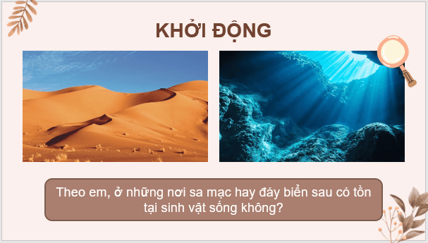 Giáo án điện tử KNTN 6 Kết nối tri thức Bài 38: Đa dạng sinh học | PPT Khoa học tự nhiên 6