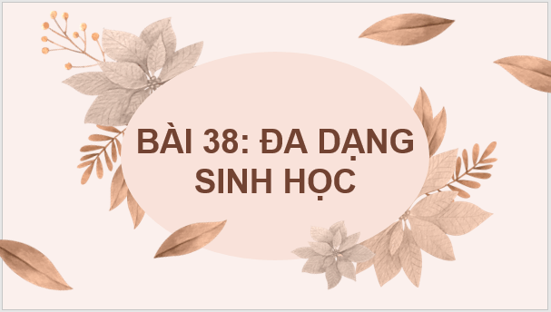 Giáo án điện tử KNTN 6 Kết nối tri thức Bài 38: Đa dạng sinh học | PPT Khoa học tự nhiên 6