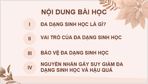 Giáo án điện tử KNTN 6 Kết nối tri thức Bài 38: Đa dạng sinh học | PPT Khoa học tự nhiên 6