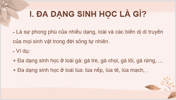 Giáo án điện tử KNTN 6 Kết nối tri thức Bài 38: Đa dạng sinh học | PPT Khoa học tự nhiên 6