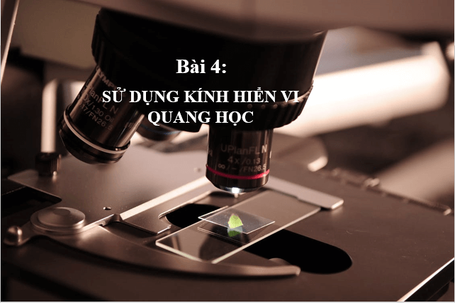 Giáo án điện tử KNTN 6 Kết nối tri thức Bài 4: Sử dụng kính hiển vi quang học | PPT Khoa học tự nhiên 6