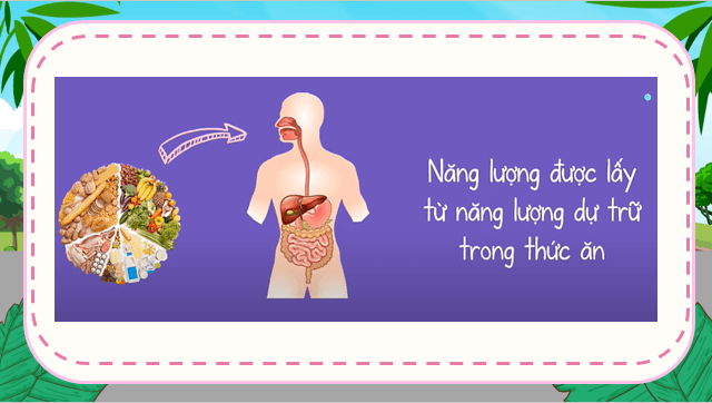 Giáo án điện tử KNTN 6 Kết nối tri thức Bài 46: Năng lượng và sự truyền năng lượng | PPT Khoa học tự nhiên 6