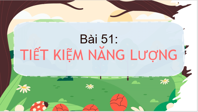 Giáo án điện tử KNTN 6 Kết nối tri thức Bài 51: Tiết kiệm năng lượng | PPT Khoa học tự nhiên 6