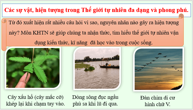 Giáo án điện tử KHTN 7 Chân trời sáng tạo Bài 1: Phương pháp và kĩ năng học tập môn Khoa học tự nhiên | PPT Khoa học tự nhiên 7