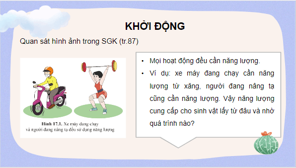 Giáo án điện tử KHTN 7 Cánh diều Bài 17: Vai của trao đổi chất và chuyển hoá năng lượng ở sinh vật | PPT Khoa học tự nhiên 7