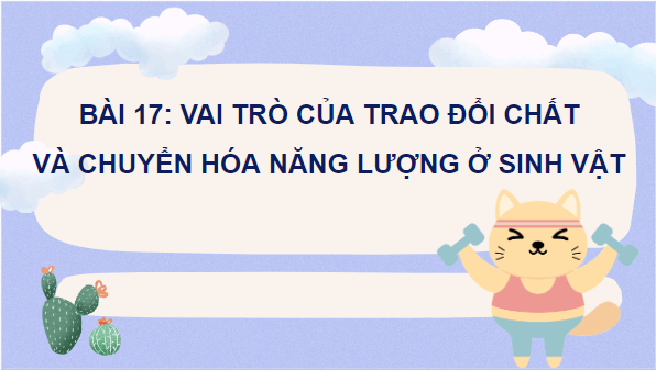 Giáo án điện tử KHTN 7 Cánh diều Bài 17: Vai của trao đổi chất và chuyển hoá năng lượng ở sinh vật | PPT Khoa học tự nhiên 7